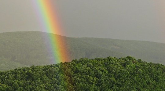 Are Certain People More Prone to Miracles Than Others? Are Certain People More Prone to Miracles Than Others?